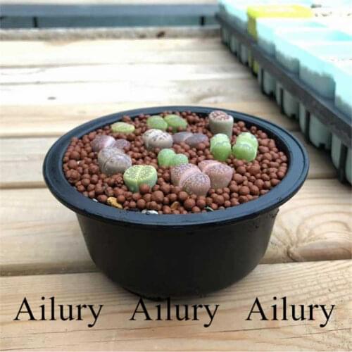 Black round plastic resin bowl, bowl-shaped black succulent flower pot, thick seedling pot, short flat pot