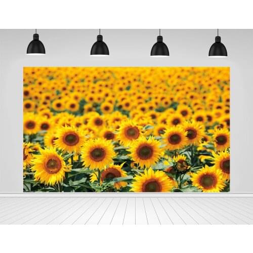 Scopiso Bright Summer Sunflower Field Photographic Backdrops for Photo Studio Decoration Props Photography Backgrounds