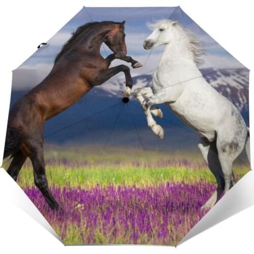Automatic Umbrella Two Horse In Flowers Field three-fold umbrella women men rain umbrella