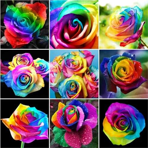 MomoArt 5D DIY Diamond Painting Rose Full Square Diamond Embroidery Flower Cross Stitch Kits Mosaic Rhinestones Handmade Gift