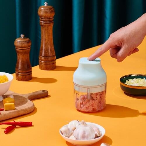 250ml Electric Garlic Masher Garlic Press Vegetable Chili Meat Garlic Chopper Press USB Masher Machine Kitchen Gadgets