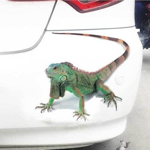 3D Car Sticker Animals Bumper Spider Gecko Scorpions For Land Rover LR4 LR3 LR2 Range Rover Evoque Defender Discovery Freelander