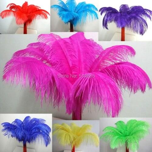 20PCS/lot ostrich feather assorted 10colors 18-20 inches 45-50cm Ostrich plumage ostrich plume