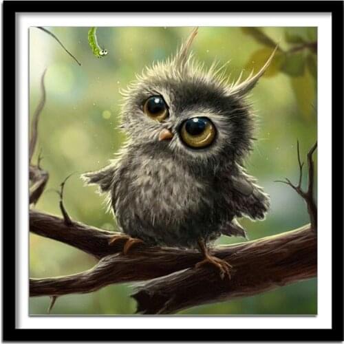 Diamant painting 5d diy diamond painting full square Diamond embroidery animals owl diamond round diamond paint 571DD