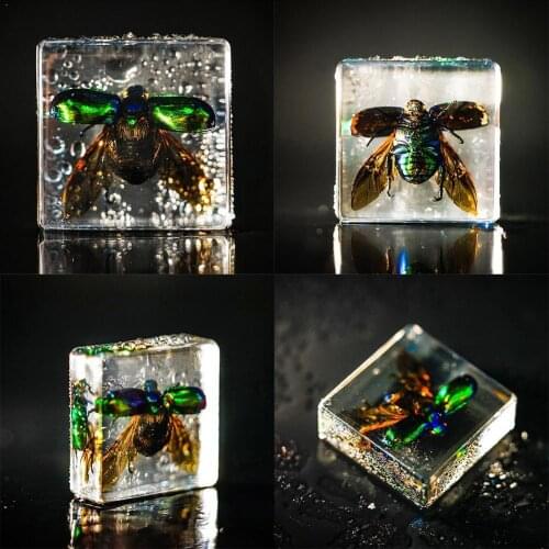 Insect Figure Model Toys Creative Sample Resin Specimen Paperweight Style Kids Education Gift Random Collection A9D7
