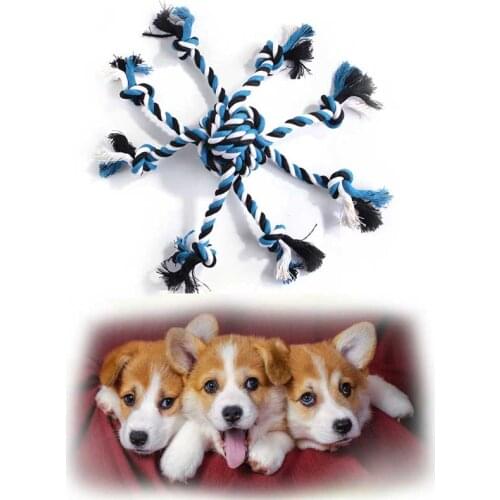 Speelgoed Hond Dog Chew Rope Dog Toothbrush Hondenspeeltje Speelgoed Hond Cleaning Teeth Interactive Cotton Rope Pet Training