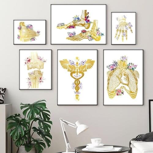 Human Anatomy Organ System Art Print Watercolor Human Figure Painting Medical Education Office Picture posters canvas painting