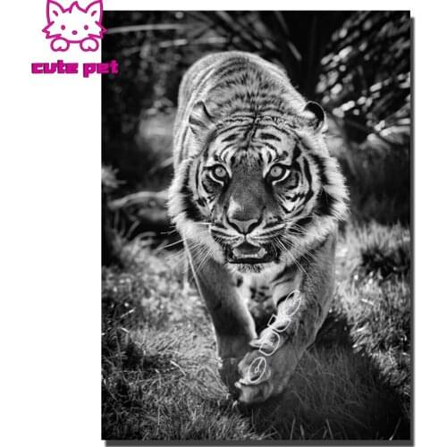DIY photo custom diamond mosaic black white tiger diamond embroidery painting full drills square round stones cross stitch decor