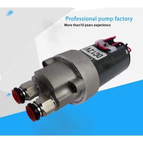 12V Micro Self-suction Gear Oil Pump DC Waster Oil Transfer Pump