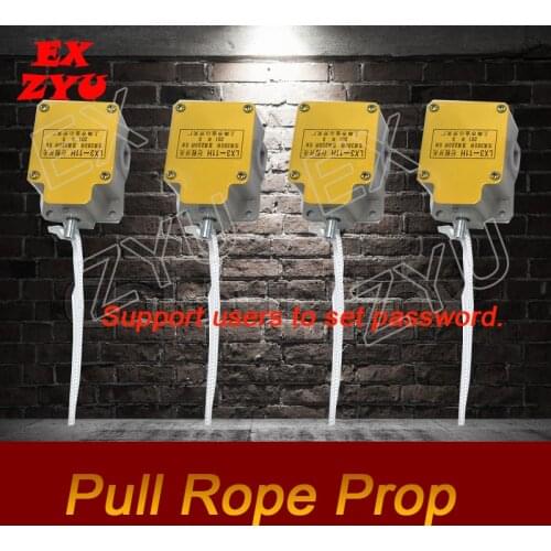 EXZYU Pull the Ropes escape game prop sequential version pulling ropes with correct order to open door