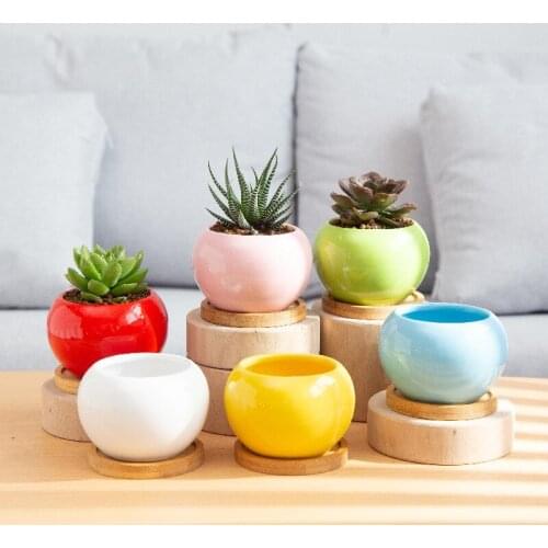 Six-color Small Round Pot Ceramic Multi-meat Flower Pot Gardening Creative Tabletop Thumb Small Pot