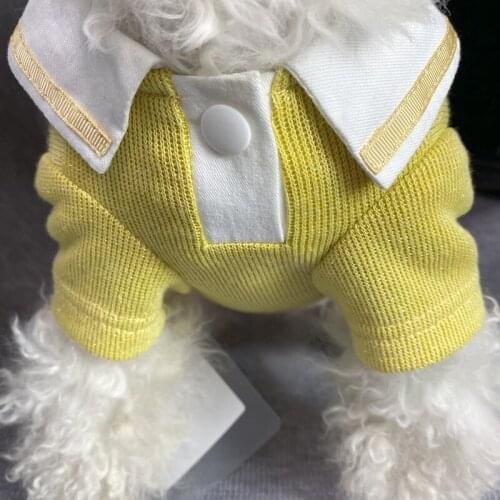 2021 Spring Thin Pet Dog Two-legged Clothes Puppy Clothes Teddy Pomeranian Clothes Wholesale