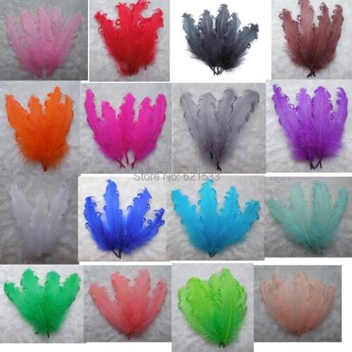 50pcs/lot! Multicolor Curly Goose Nagoire Feathers 13-18CM Length for Craft/Millinery,16colours for choice