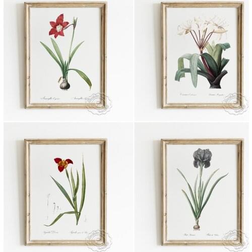 Various Flowers Plants Collection Poster, Ornamental Flower Watercolour Prints, Quietly Elegant Flora Hotel Decorative Painting