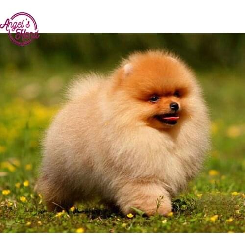 5D DIY Diamond embroidery Christmas gift,dog,Pomeranian,3d,diamond painting Cross Stitch full drill Rhinestone mosaic wall decor