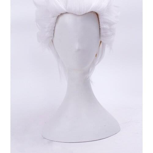 Fate/stay night Archer Shirou Emiya Cosplay Wig