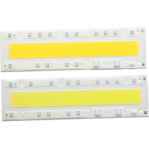 Led Lamp COB Chip Light AC 110V/220V 150W With IP65 Led Smart IC For DIY White / Warm White Lighting