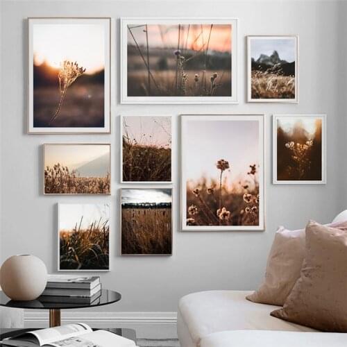 Nordic Nature Landscape Plant Reed Flower Wall Art Canvas Painting Sunset Posters and Prints Wall Pictures for Living Room Decor