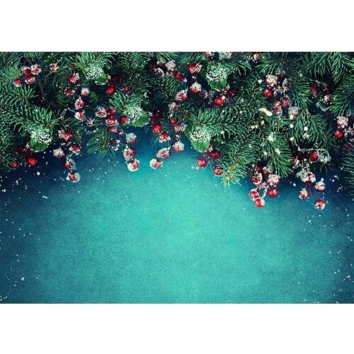 Holly Christmas Snow Photography Backdrops Vinyl Cloth Photo Studio Background for Children Baby Family Photophone Photobooth