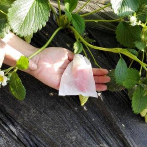 1000PCS Fruit Strawberry Cherry Protection Grow Bags Anti Bird Against Insect Bags Agricultural Pest Control