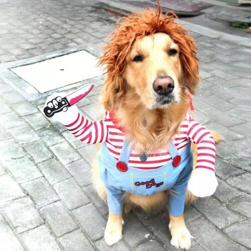 Pet Cat Dog Clothes Cowboy Dog ​​Coat Dog Costume Role Playing Style With Wig Funny Dog Coat Clothes Pet Costumes Dress Clothes
