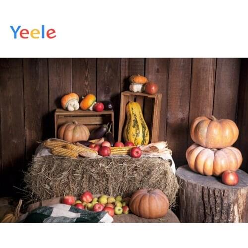 Autumn Farm Barn Harvest Pumpkin Wood Board Hay Block Newborn Baby Portrait Backdrop Photography Background For Photo Studio