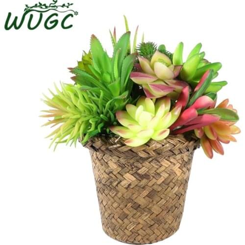 WUGC Artificial Bonsai