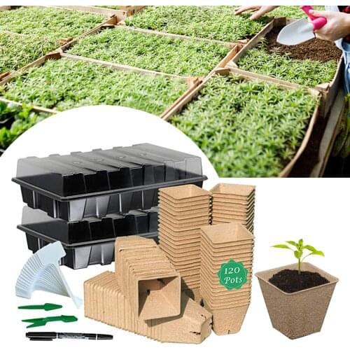 Biodegradable Seed Starter Kit Seed Starter Germination Trays Seed Nursery Grow Box 120 Bowls 1 Pen 30 Beat And 2 Spoons
