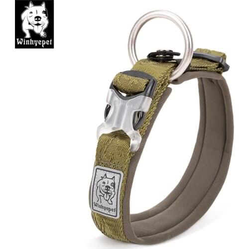 Truelove Dog Collar Safety Nylon Webbing Dog Collar Padded Soft Dogs Outdoor Walking Sport for Medium Large Puppy Dogs Collars