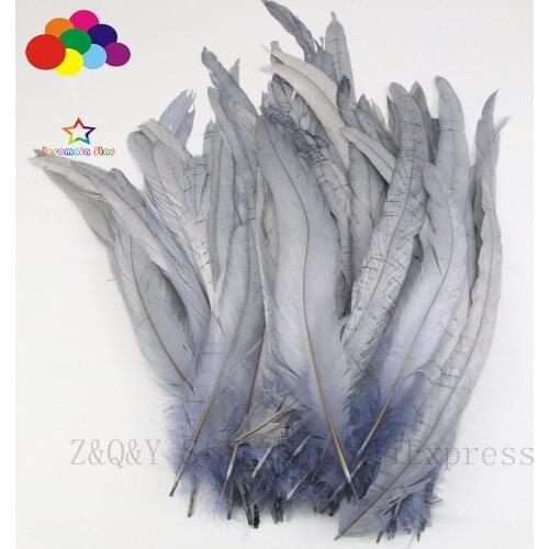 Natural 25-30CM (10-12 inches) cock tail de dyeing gray 20-200PCSDIY craft jewelry show costume decoration feather