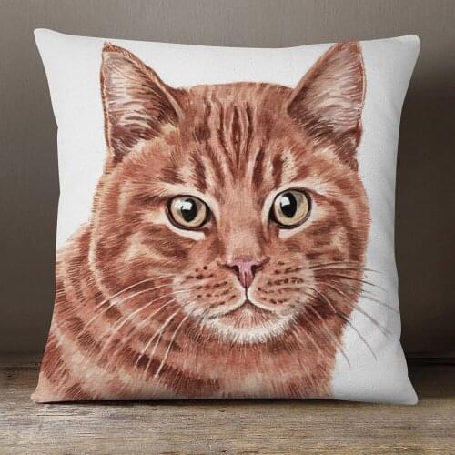 Dogs Cats Cushion Covers Siamese Cat Weimaraner Staffordshire Bull Terrier Labradoodle Deerhound Dog Print Pillow Case