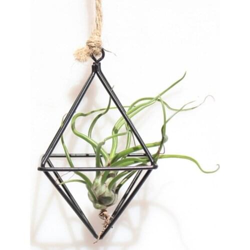 Freestanding Hanging Planters Geometric Swing Wrought Iron Tillandsia Air Plants Holder Rustic Flower Planter For Home Garden