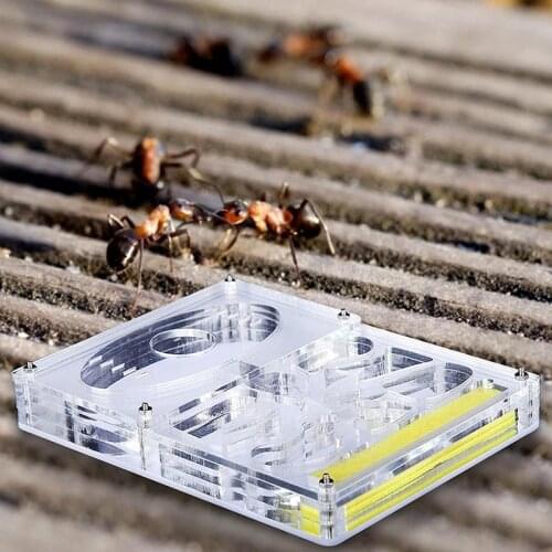 HGHO Acrylic Ant Breeding Box Ant Farm Insect Nest Farm Feeding Box Educational Formicarium Ant Farm Kit