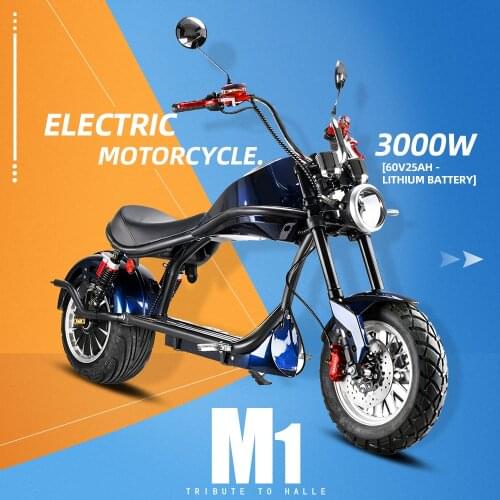 Electric Motorcycle 3000W 65km/h Electric Bike Fat Tire Electric Scooter Vehicle hydraulic Pressure disc brake Adult motorcycle