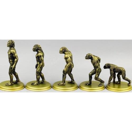 Figure ornament decoration Darwinian model of human origins 5pcs/set