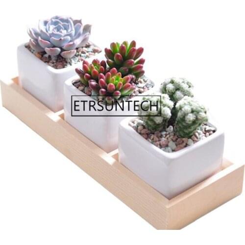 50pcs 3 Grids Flower Pot Box Tray Wooden Succulent Plant Fleshy Flowerpot Containers Home Decor