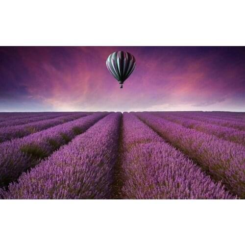 Lavender Fields Balloon Art Film Print Silk Poster Home Wall Decor 24x36inch