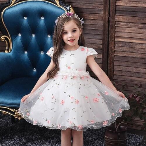 Baby Girls Floral Dress Cute Style Ball Gown Dresses for 1st Birthday Children New Clothes Little Girls Embroidery Mesh Dresses