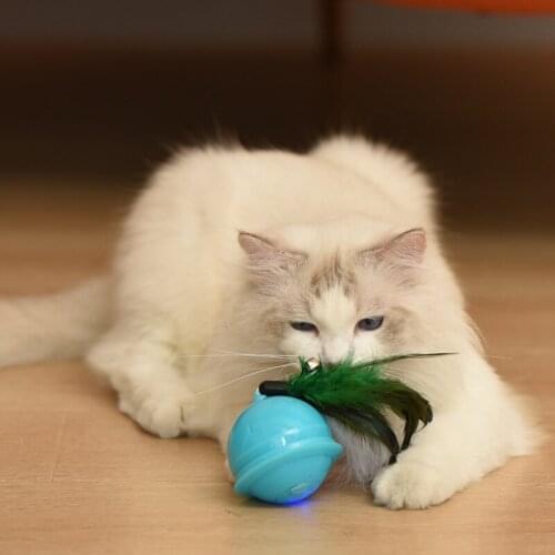 Cat Toys Smart Foam Ball Plus Feather With Bell Pet Automatic Ball Launcher Throwing Toy Pet Supplies Product Cat Funny Cat Toys