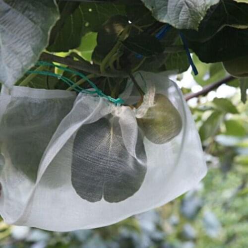 20pcs L:45-60cm 40Mesh Nylon Net Bag Apple Fruit Anti Bird Mosquito Flies Plants Vegetable Protection Bag String Seal