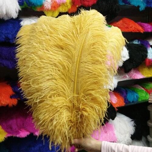 100 PCS "thick stem" male ostrich feathers Brown 60-65 cm/24-26 inches Wedding Birthday Christmas Decorations