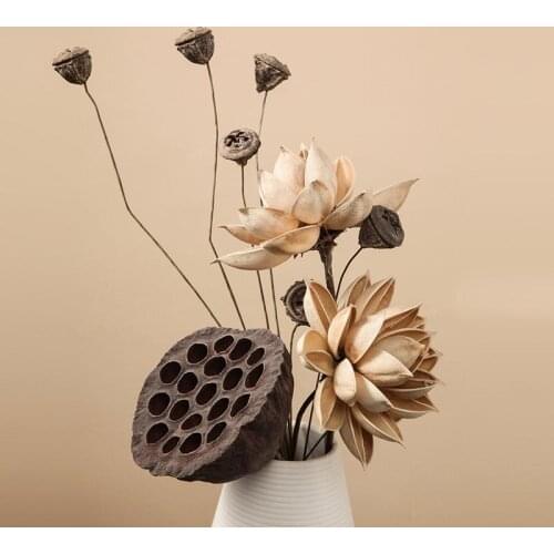 Natural Dried Flower Air Dried Lotus Cross Fruit Wood Lotus Begonia Rose Ball Bouquet Home Decoration Setting Photography Props