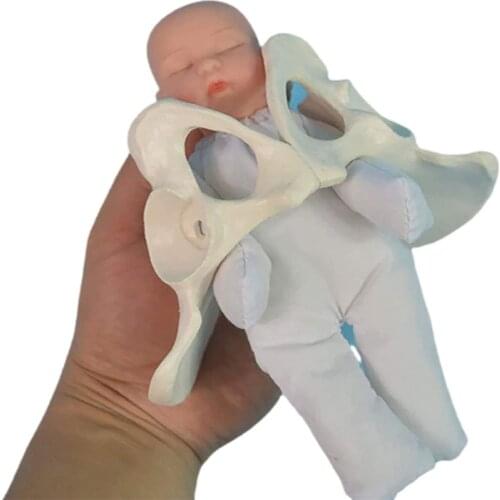 MIni Human Delivery Demonstration Pelvis Teaching Anatomy Model Fetus Umbilical Cord Placenta Model
