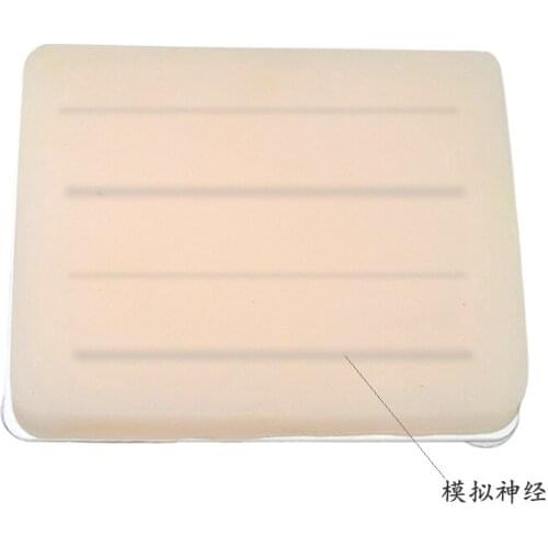 B ultrasound nerve anesthesia block injection training module Ultrasound nerve puncture injection training