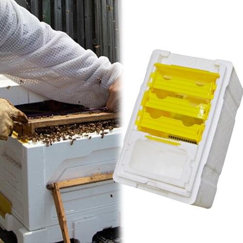 Beekeeping Beehive Queen Rearing Mating Nuc Box Harvest Pollination Mating Bees Box Reserve For Beekeeper Suppiler