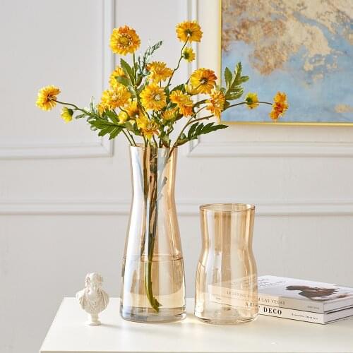 Nordic Home Decoration Glass Vase Living Room Decoration Flower Vase Transparent Table Decoration Minimalist Terrarium Gifts