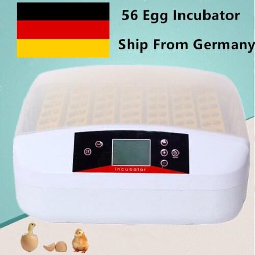 Automatic Turning Incubator Digital Temperature Control 56 Eggs Farm Hatchery Machine Household Egg Incubator For Hot Sale