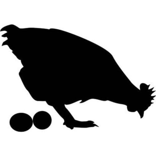 Black/Sliver Interesting Chicken And Eggs Car-styling Vinyl Decal Car Door And Window Car Stickers Decor C612