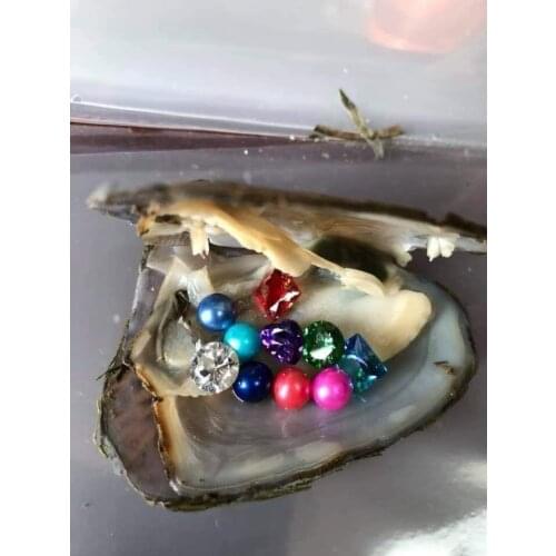 Beatuiful gems and pearls Oyster random gem and round pearl inside the Freshwater Akoya Oyster Treasure Oyster Gift FP485