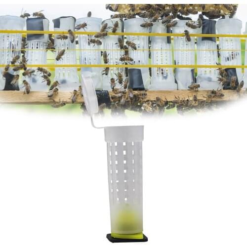 10Pcs Beekeping Tool Nicot Queen Rearing Cupkits Cages Bees Roller Cage Holder Fixtures Apiculture Equipment